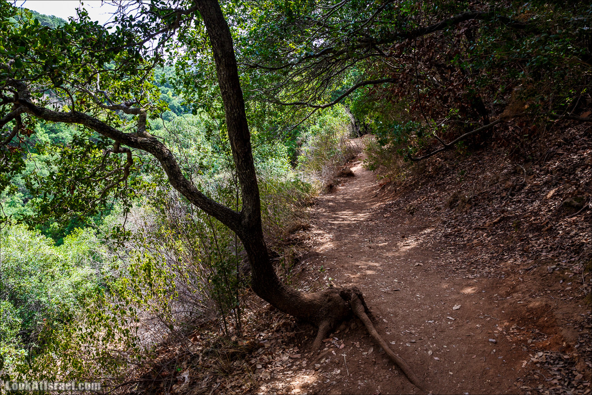 Нахаль Бецет и нахаль Верах | LookAtIsrael.com - Фото путешествия по Израилю