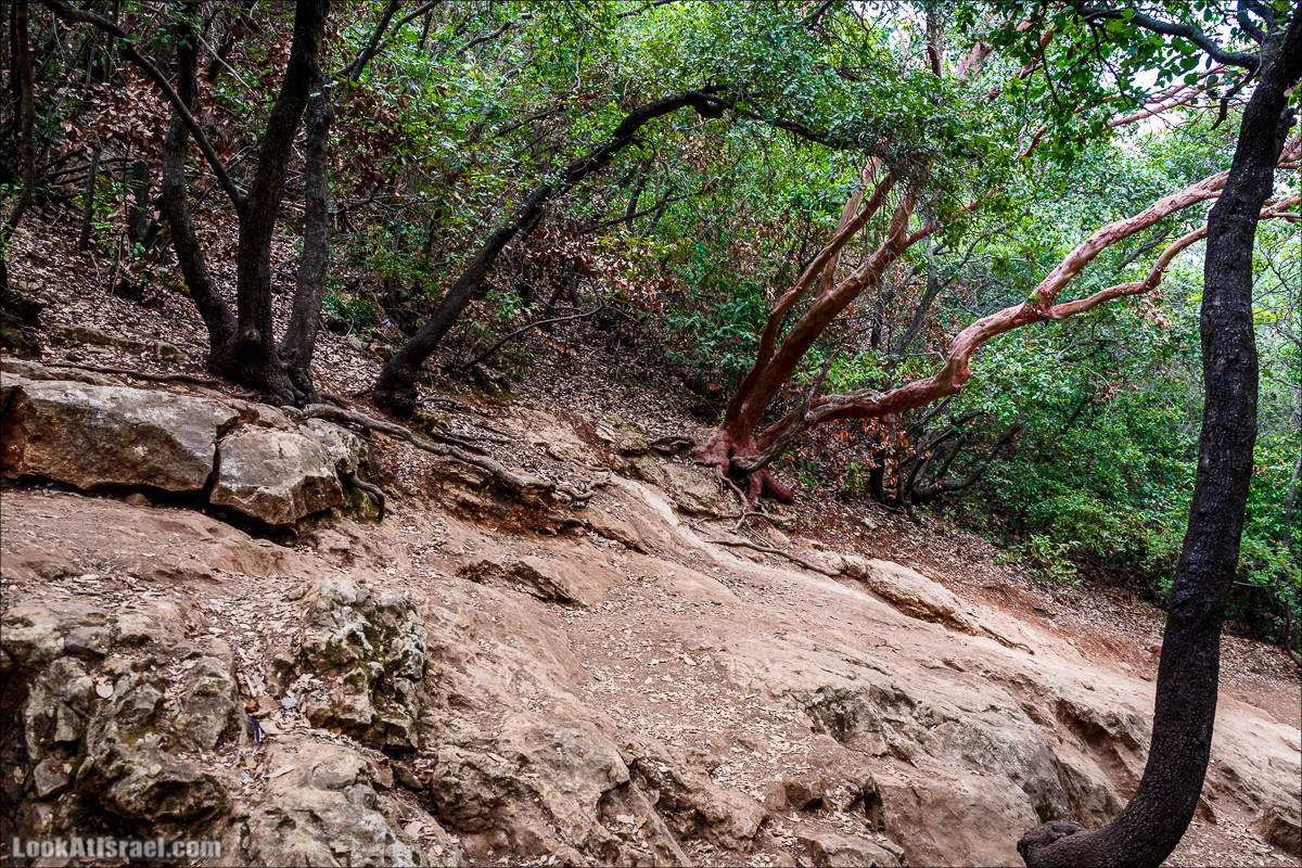 Нахаль Бецет и нахаль Верах | LookAtIsrael.com - Фото путешествия по Израилю