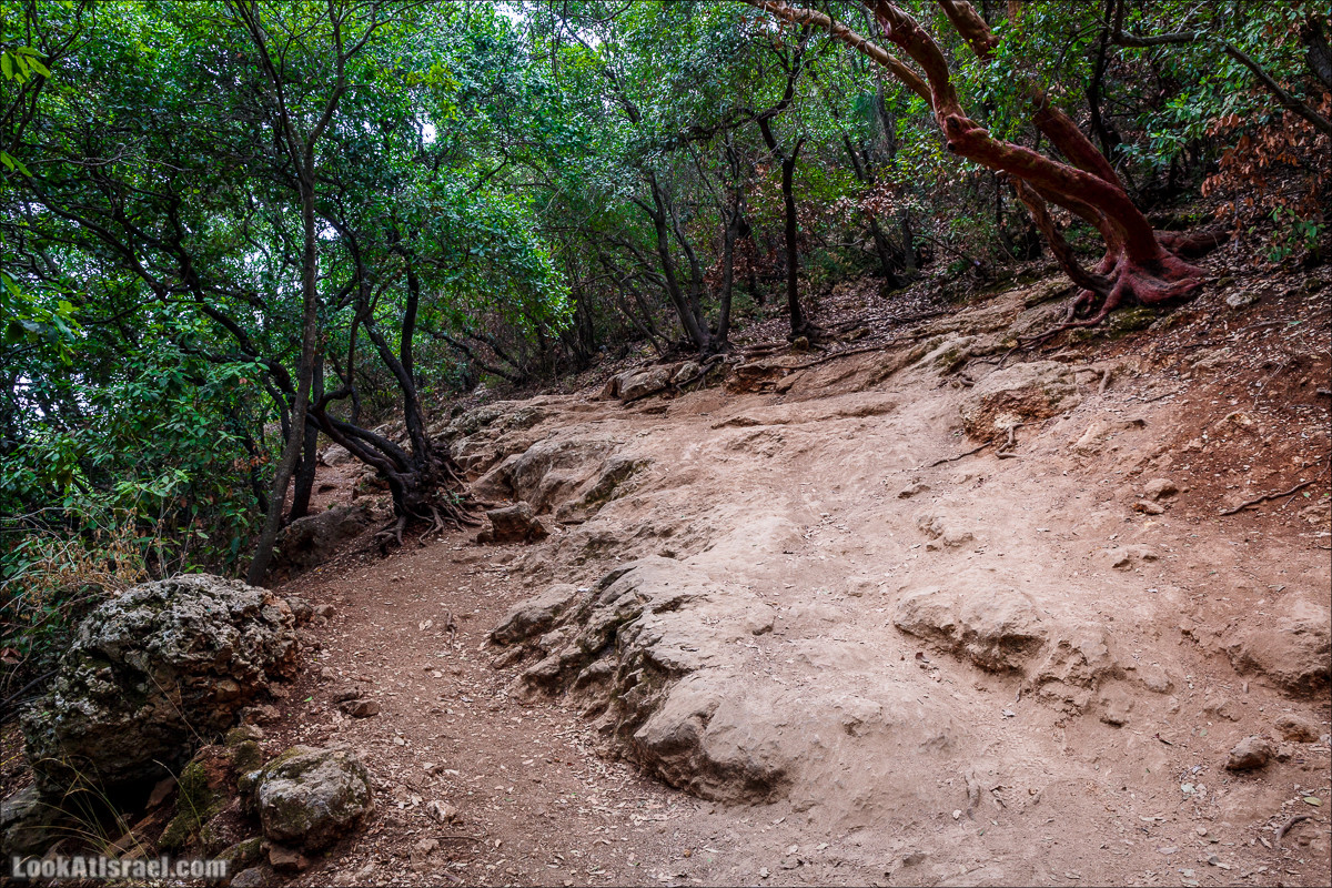 Нахаль Бецет и нахаль Верах | LookAtIsrael.com - Фото путешествия по Израилю