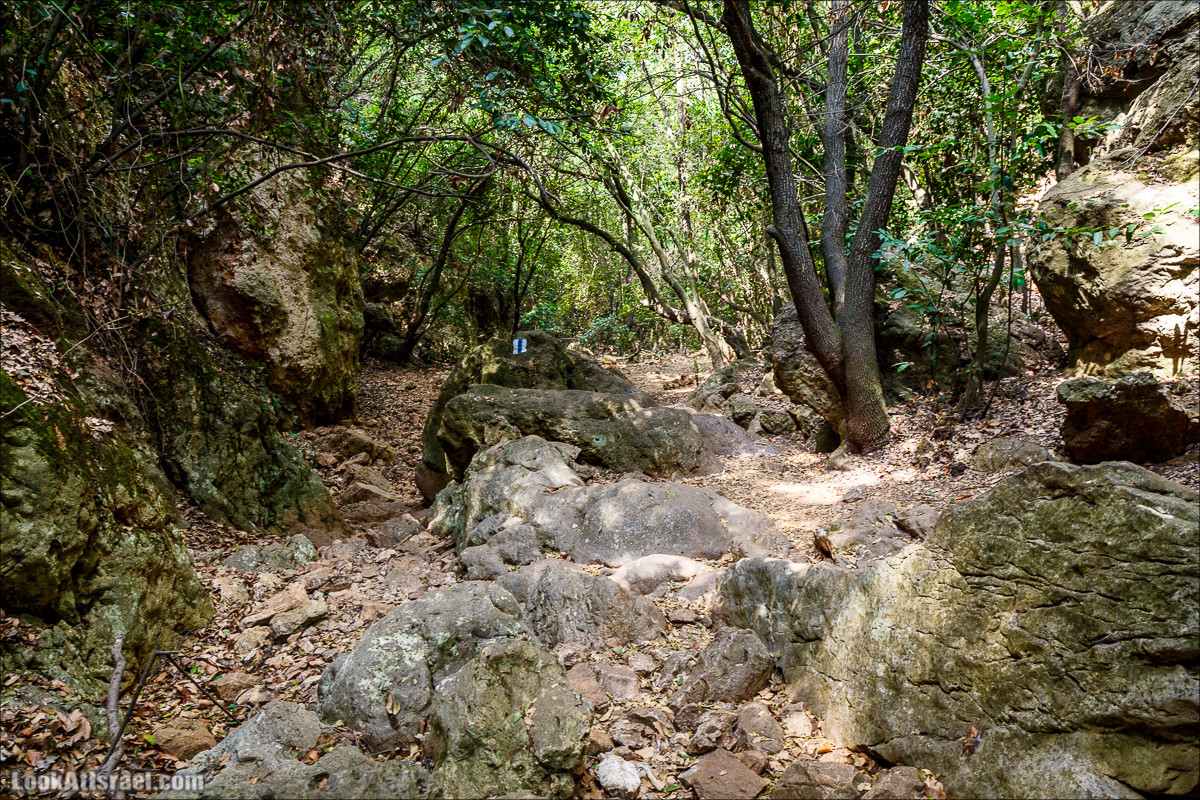 Нахаль Бецет и нахаль Верах | LookAtIsrael.com - Фото путешествия по Израилю