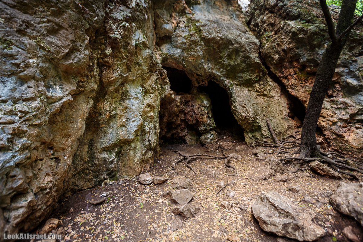 Нахаль Бецет и нахаль Верах | LookAtIsrael.com - Фото путешествия по Израилю