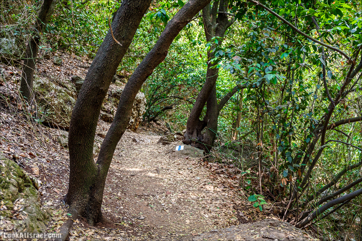 Нахаль Бецет и нахаль Верах | LookAtIsrael.com - Фото путешествия по Израилю