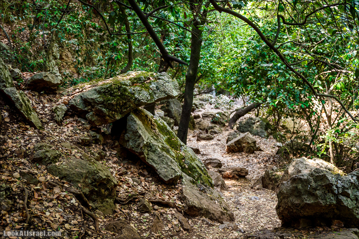 Нахаль Бецет и нахаль Верах | LookAtIsrael.com - Фото путешествия по Израилю