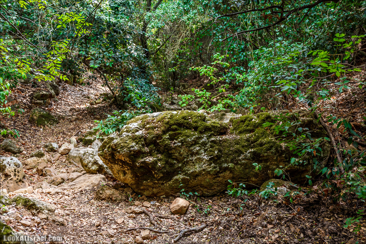 Нахаль Бецет и нахаль Верах | LookAtIsrael.com - Фото путешествия по Израилю