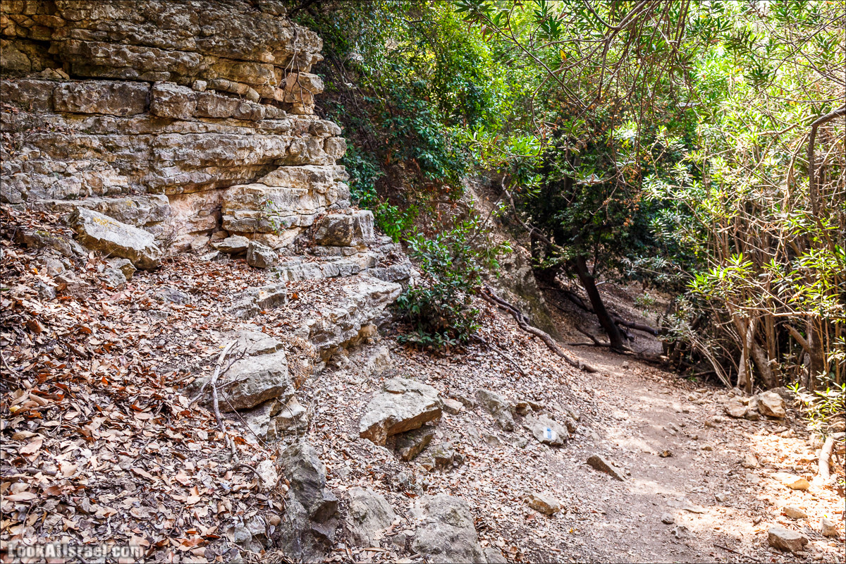 Нахаль Бецет и нахаль Верах | LookAtIsrael.com - Фото путешествия по Израилю