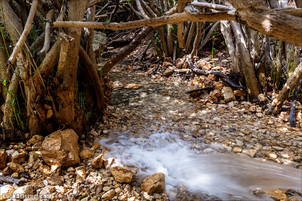 Нахаль Бецет и нахаль Верах | LookAtIsrael.com - Фото путешествия по Израилю