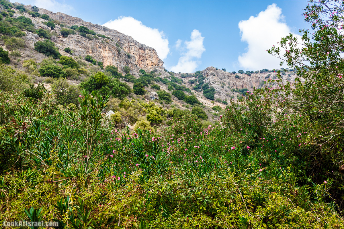 Нахаль Бецет и нахаль Верах | LookAtIsrael.com - Фото путешествия по Израилю