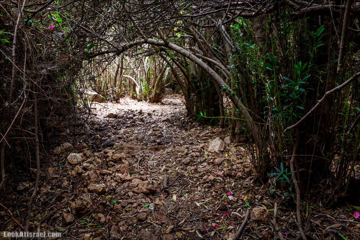 Нахаль Бецет и нахаль Верах | LookAtIsrael.com - Фото путешествия по Израилю