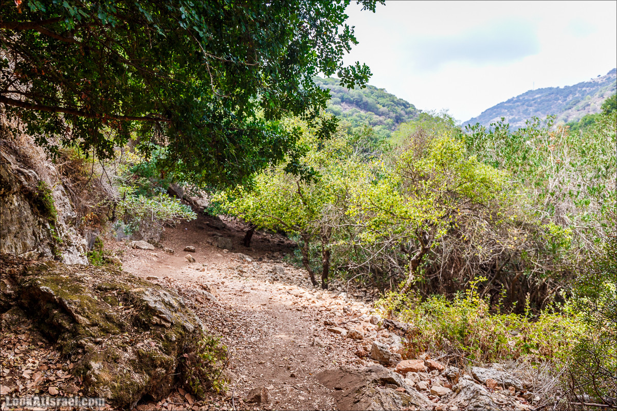 Нахаль Бецет и нахаль Верах | LookAtIsrael.com - Фото путешествия по Израилю
