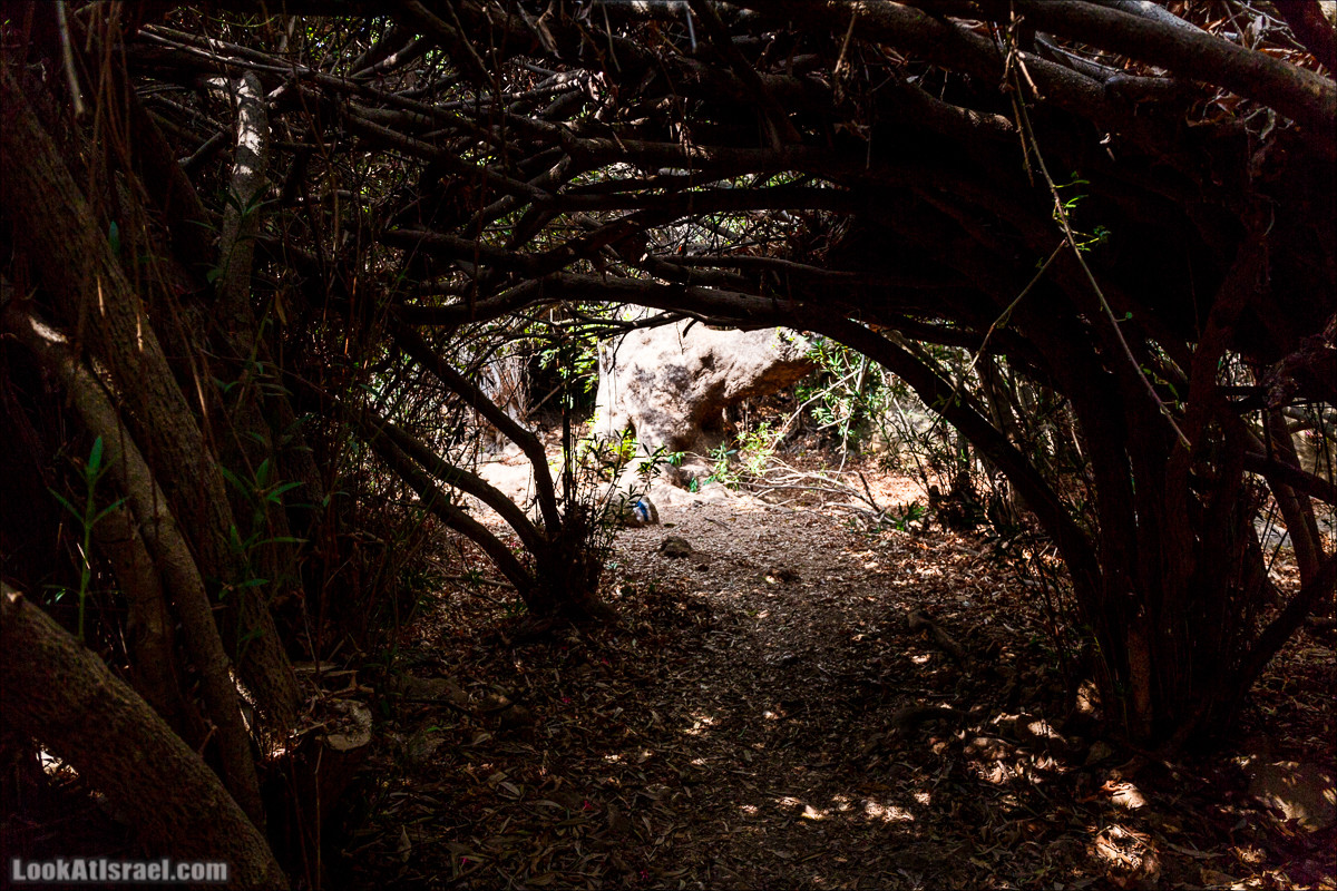 Нахаль Бецет и нахаль Верах | LookAtIsrael.com - Фото путешествия по Израилю