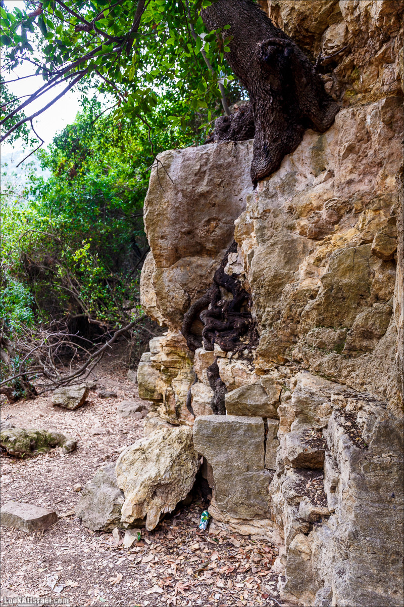 Нахаль Бецет и нахаль Верах | LookAtIsrael.com - Фото путешествия по Израилю