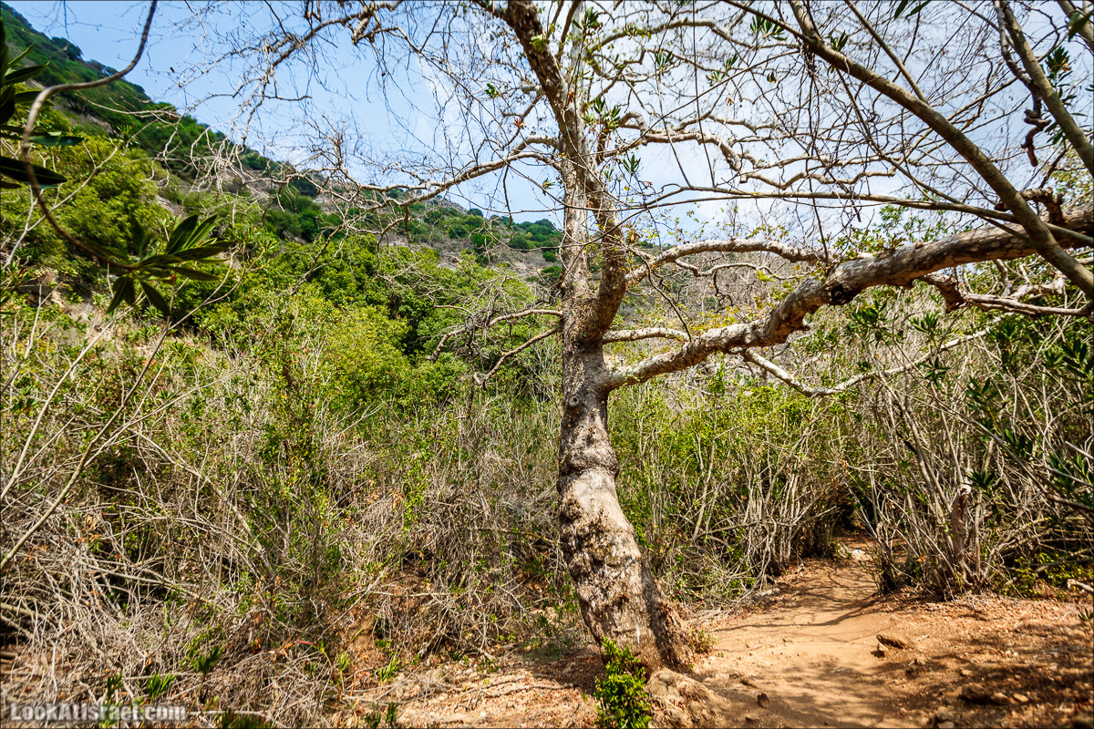 Нахаль Бецет и нахаль Верах | LookAtIsrael.com - Фото путешествия по Израилю