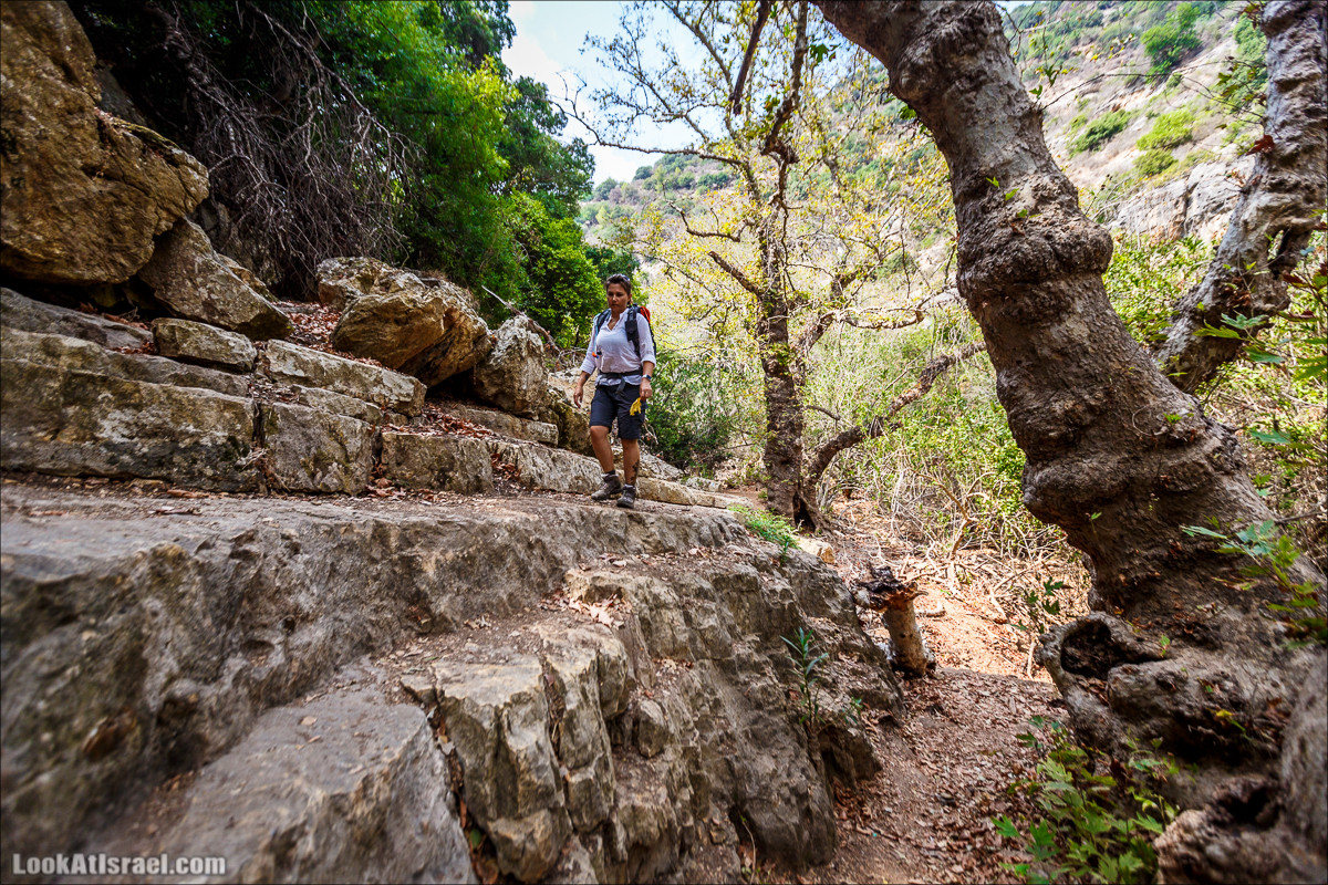 Нахаль Бецет и нахаль Верах | LookAtIsrael.com - Фото путешествия по Израилю