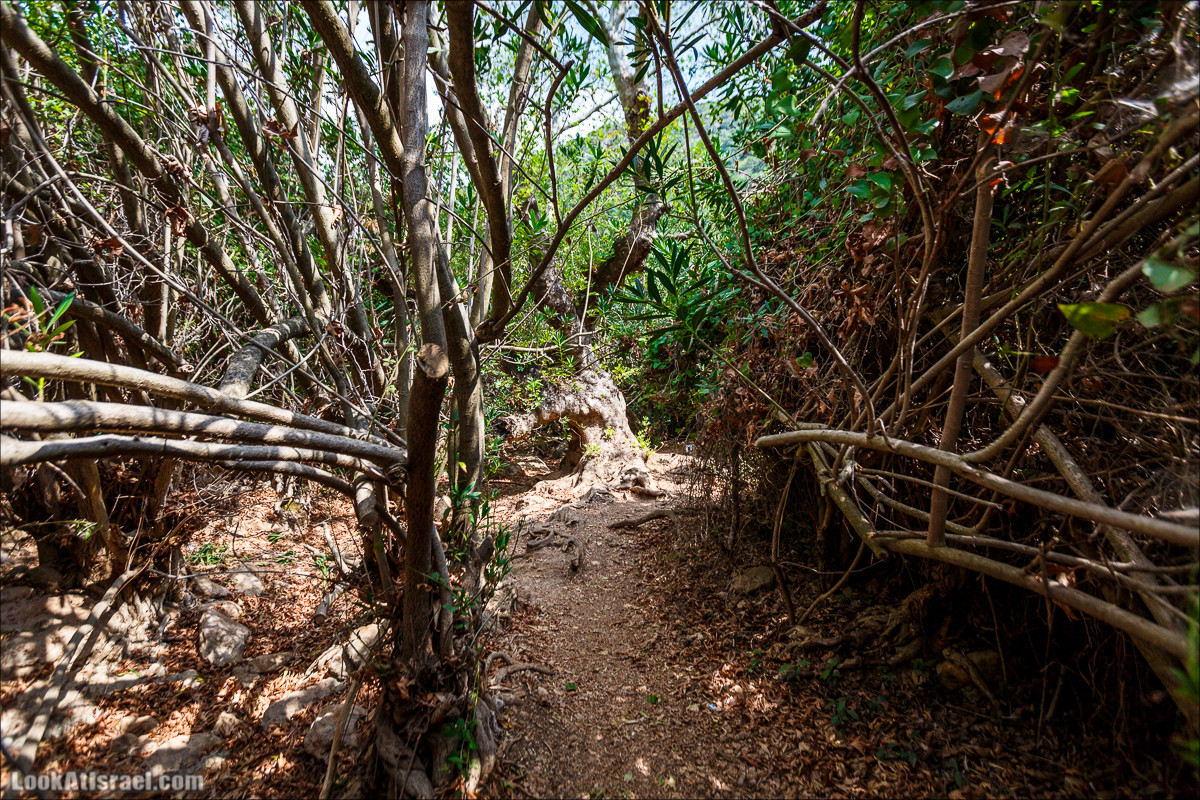 Нахаль Бецет и нахаль Верах | LookAtIsrael.com - Фото путешествия по Израилю