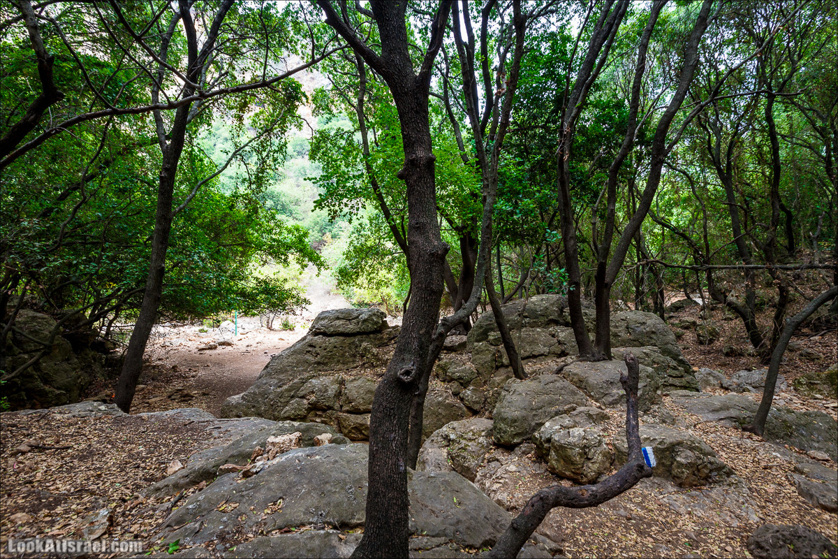 Нахаль Бецет и нахаль Верах | LookAtIsrael.com - Фото путешествия по Израилю