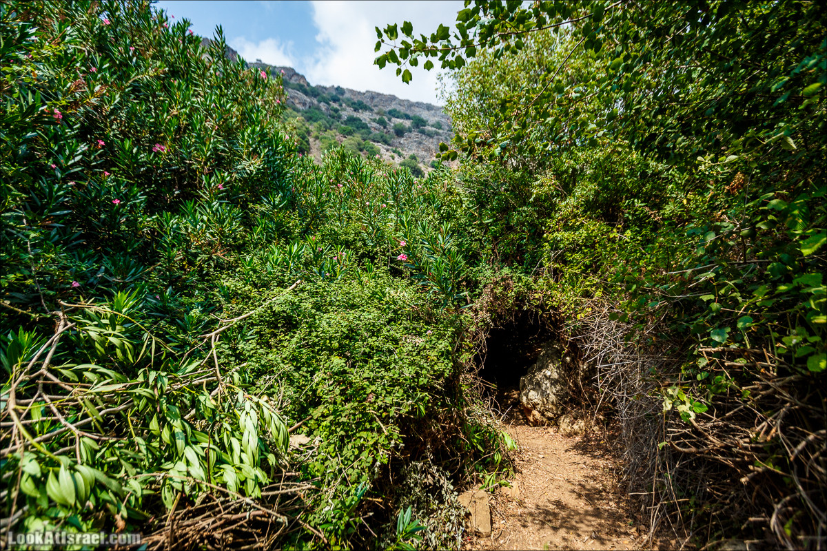 Нахаль Бецет и нахаль Верах | LookAtIsrael.com - Фото путешествия по Израилю