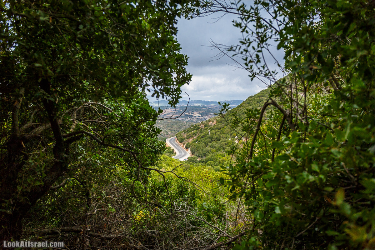 Так на гору Мерон еще никто не ходил