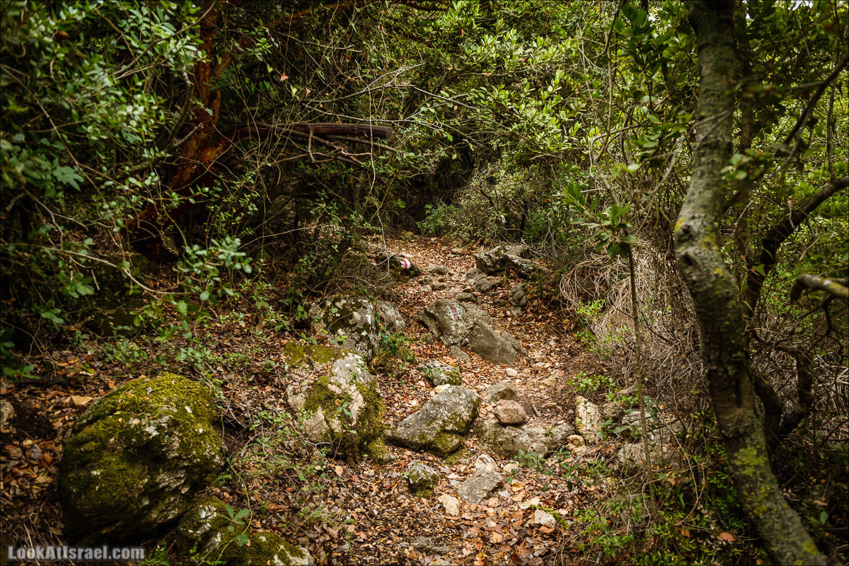 Мало посещаемые тропы горы Мерон | LookAtIsrael.com - Фото путешествия по Израилю
