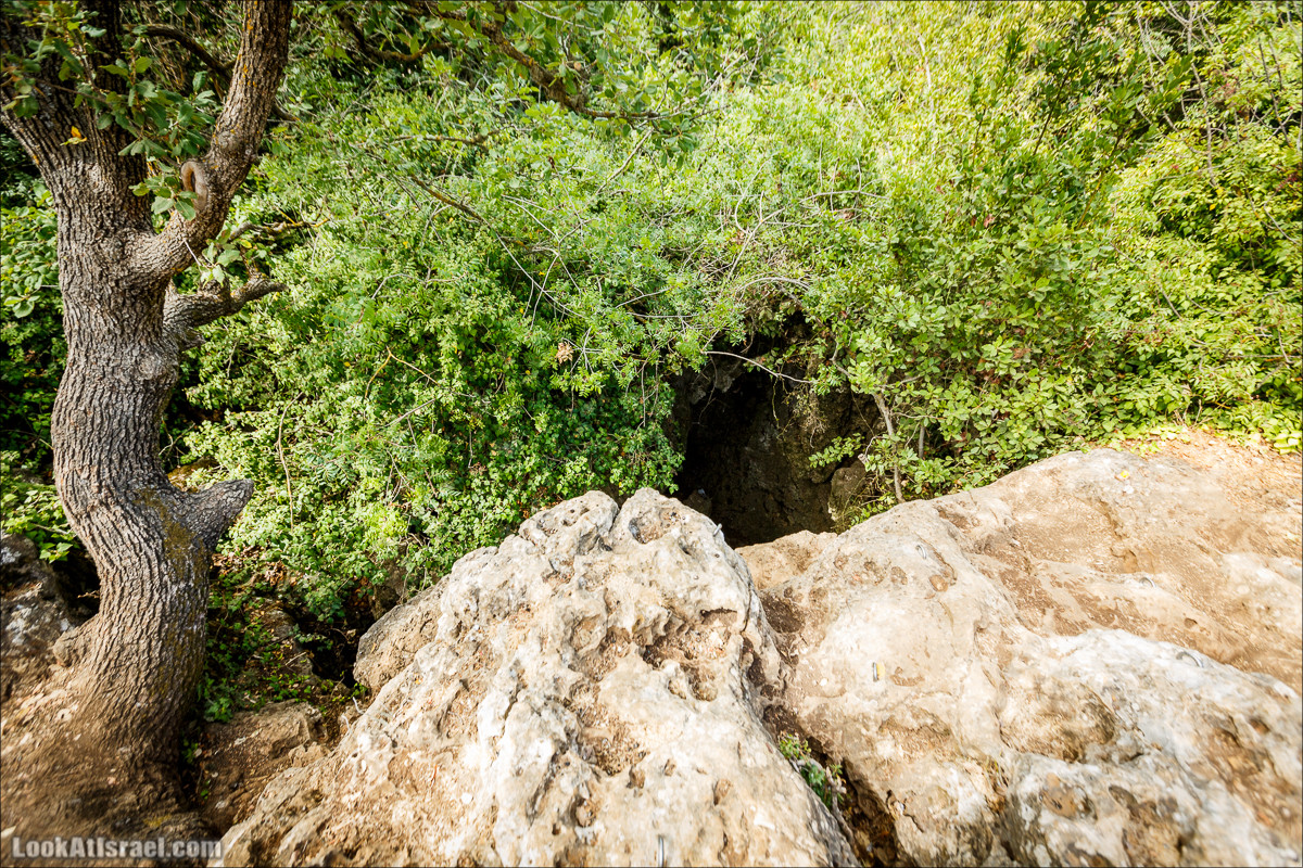 Мало посещаемые тропы горы Мерон | LookAtIsrael.com - Фото путешествия по Израилю