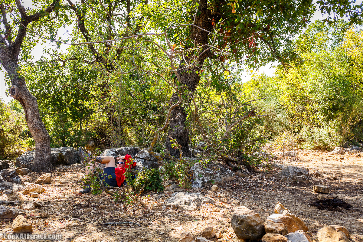 Мало посещаемые тропы горы Мерон | LookAtIsrael.com - Фото путешествия по Израилю