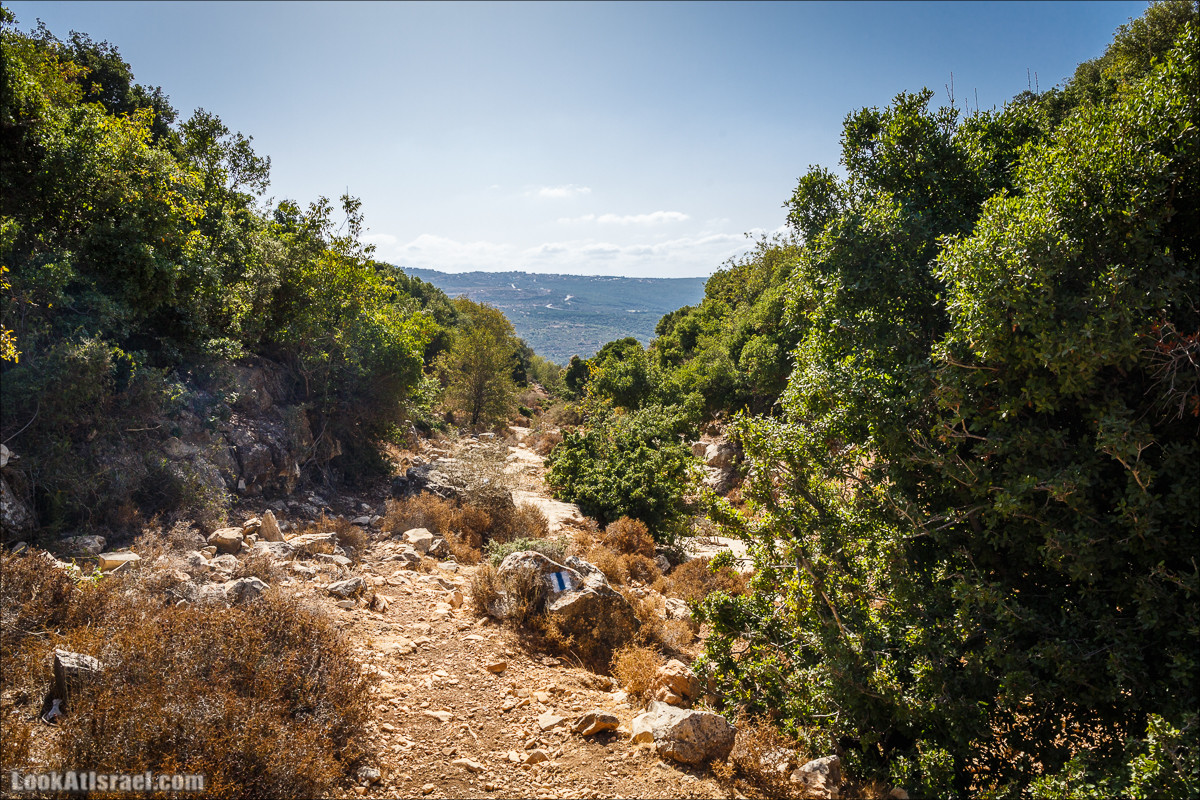 Мало посещаемые тропы горы Мерон | LookAtIsrael.com - Фото путешествия по Израилю