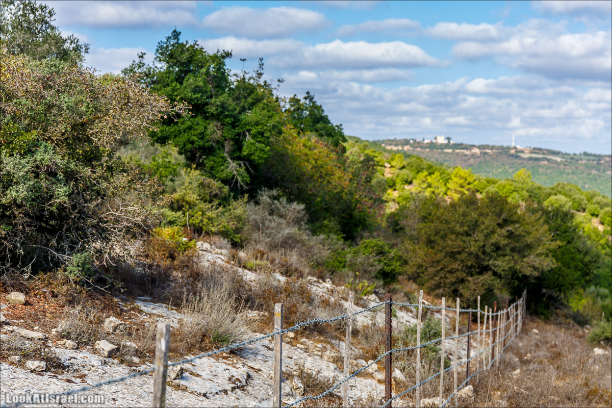 Необычная геология верхней Галилеи | LookAtIsrael.com - Фото путешествия по Израилю