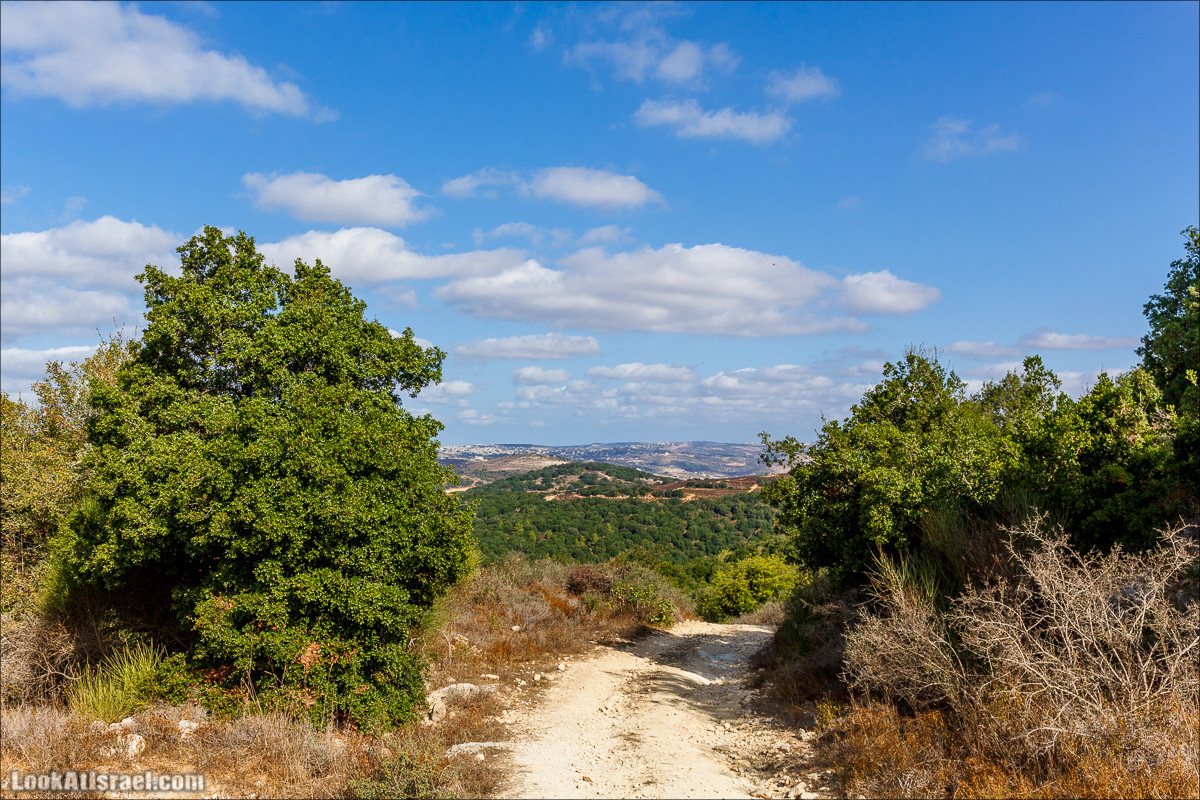Необычная геология верхней Галилеи | LookAtIsrael.com - Фото путешествия по Израилю