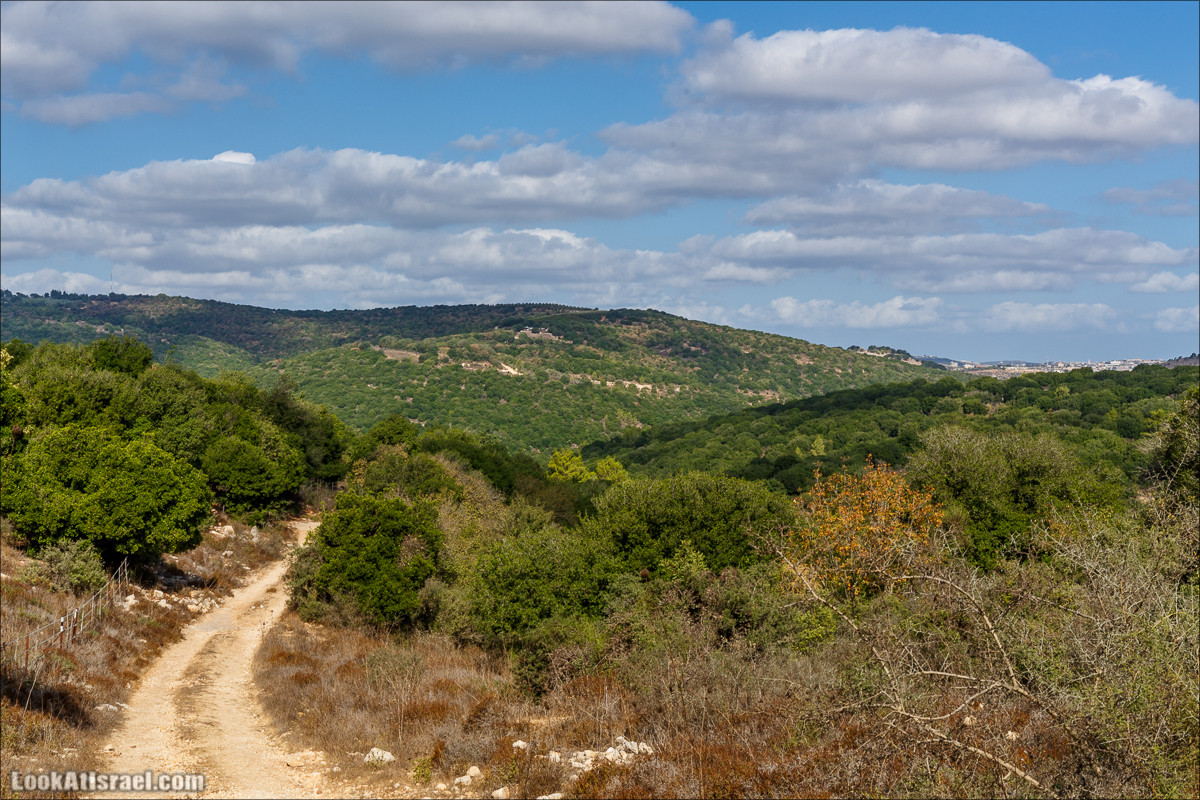 Необычная геология верхней Галилеи | LookAtIsrael.com - Фото путешествия по Израилю