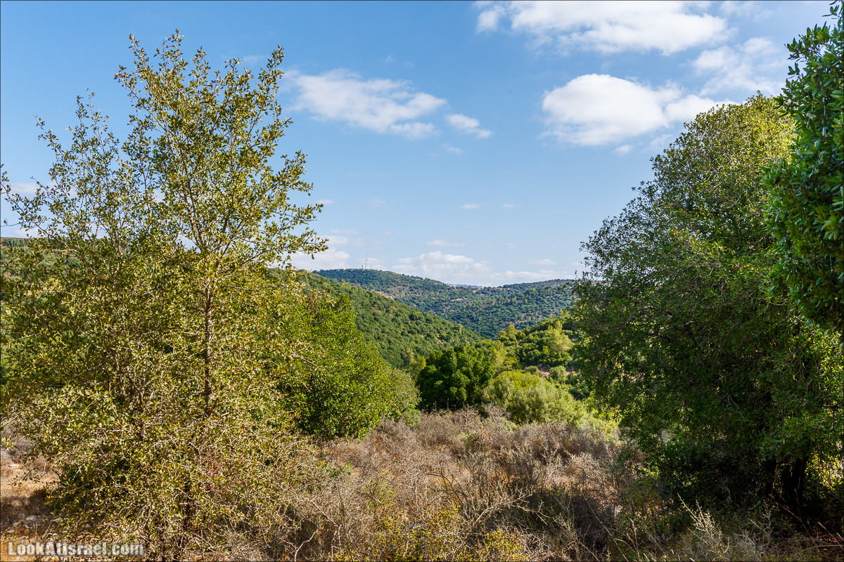 Необычная геология верхней Галилеи | LookAtIsrael.com - Фото путешествия по Израилю