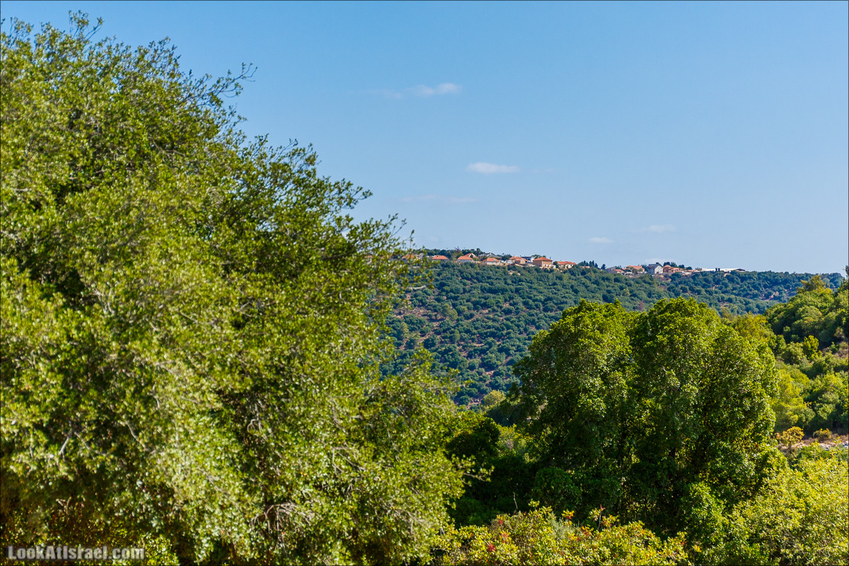 Необычная геология верхней Галилеи | LookAtIsrael.com - Фото путешествия по Израилю