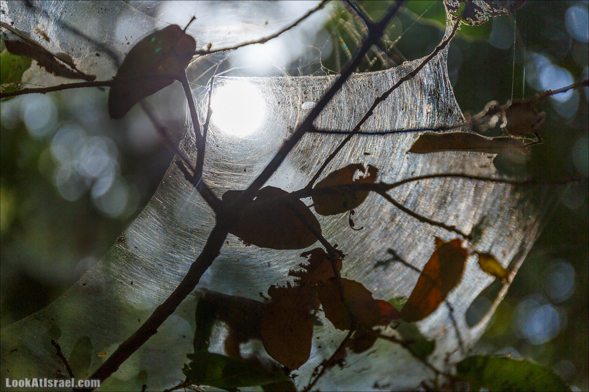 Необычная геология верхней Галилеи | LookAtIsrael.com - Фото путешествия по Израилю