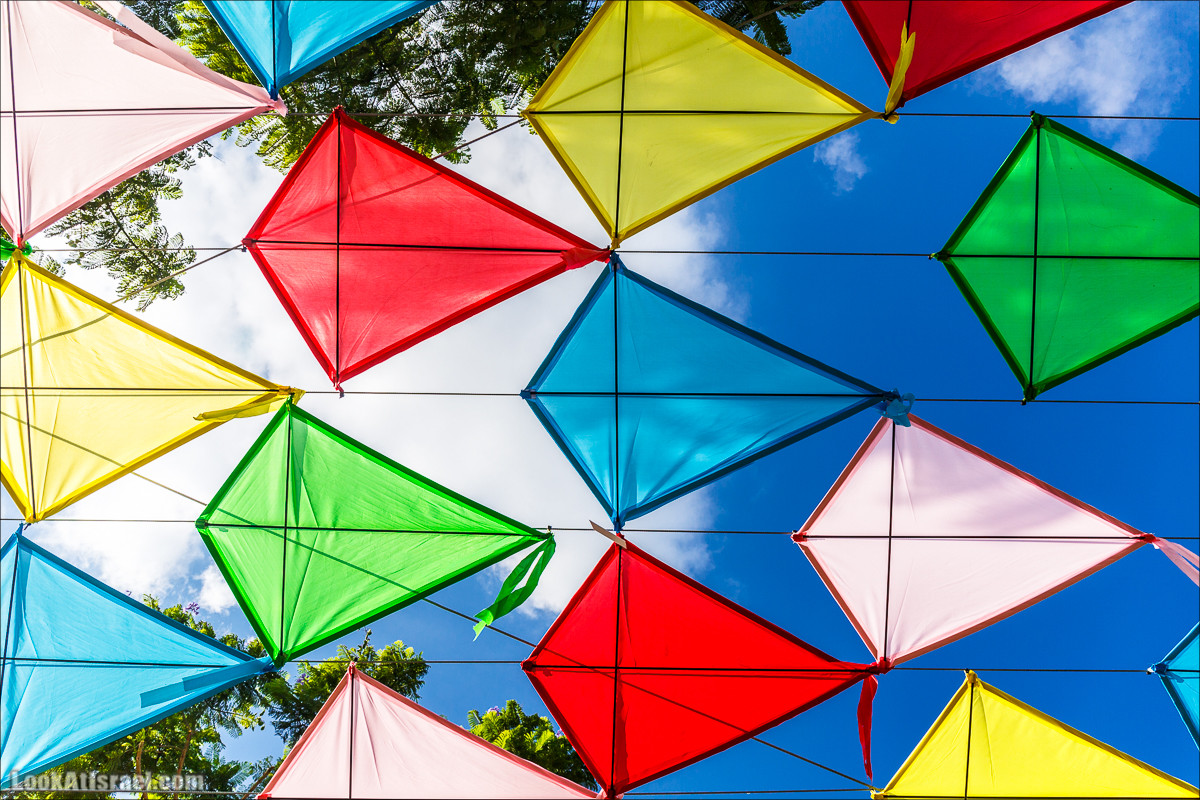 Бульвар Бен-Гурион в Тель-Авиве в тени воздушных змеев | LookAtIsrael.com - Фото путешествия по Израилю