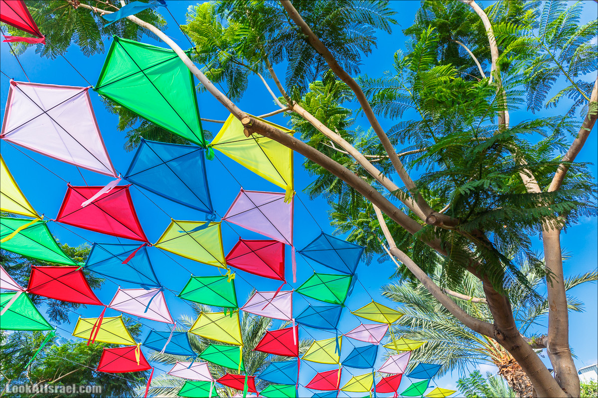 Бульвар Бен-Гурион в Тель-Авиве в тени воздушных змеев | LookAtIsrael.com - Фото путешествия по Израилю