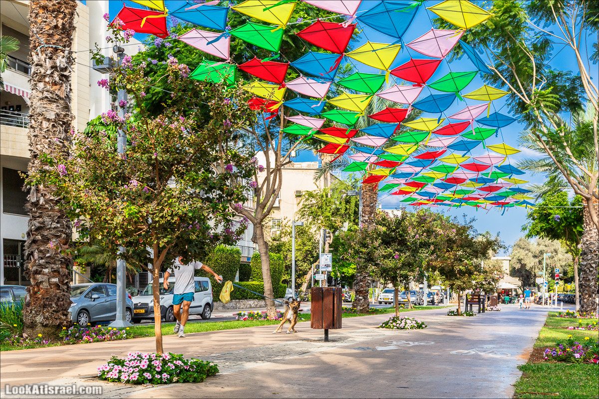 Бульвар Бен-Гурион в Тель-Авиве в тени воздушных змеев | LookAtIsrael.com - Фото путешествия по Израилю