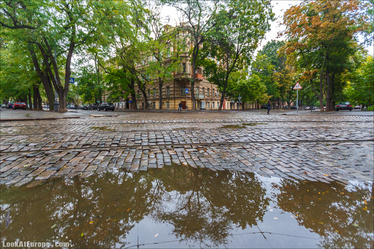 Великие люди и контора «Мясо одежда и обувь»