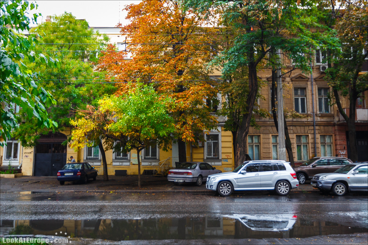 Привоз, обе Арнаутские и памятник Стиву Джобсу | LookAtIsrael.com - Фото путешествия по Израилю