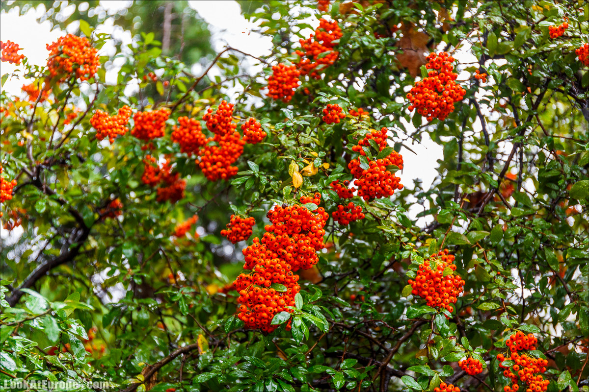 Осень в Одессе | LookAtIsrael.com - Фото путешествия по Израилю