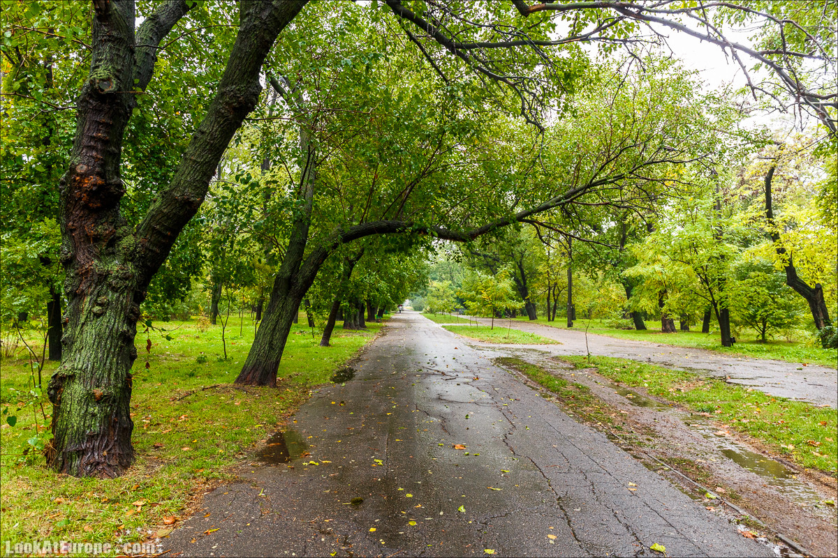 Осень в Одессе | LookAtIsrael.com - Фото путешествия по Израилю