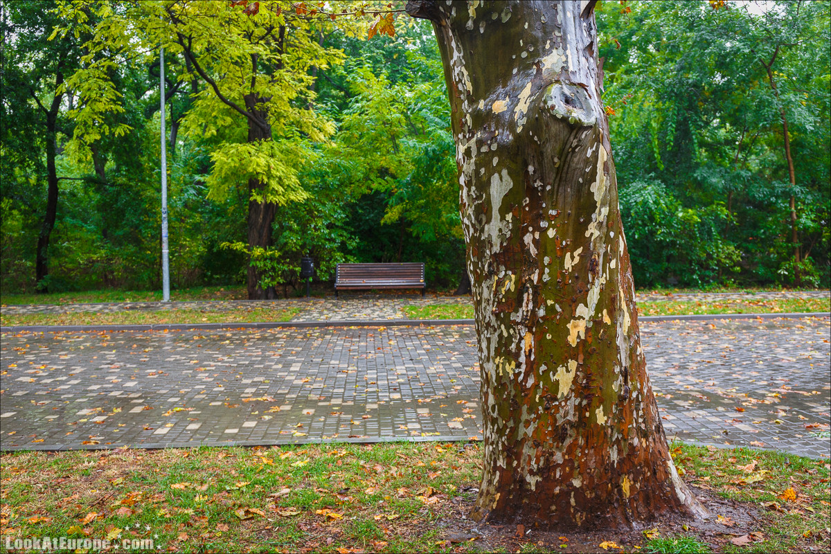 Осень в Одессе | LookAtIsrael.com - Фото путешествия по Израилю