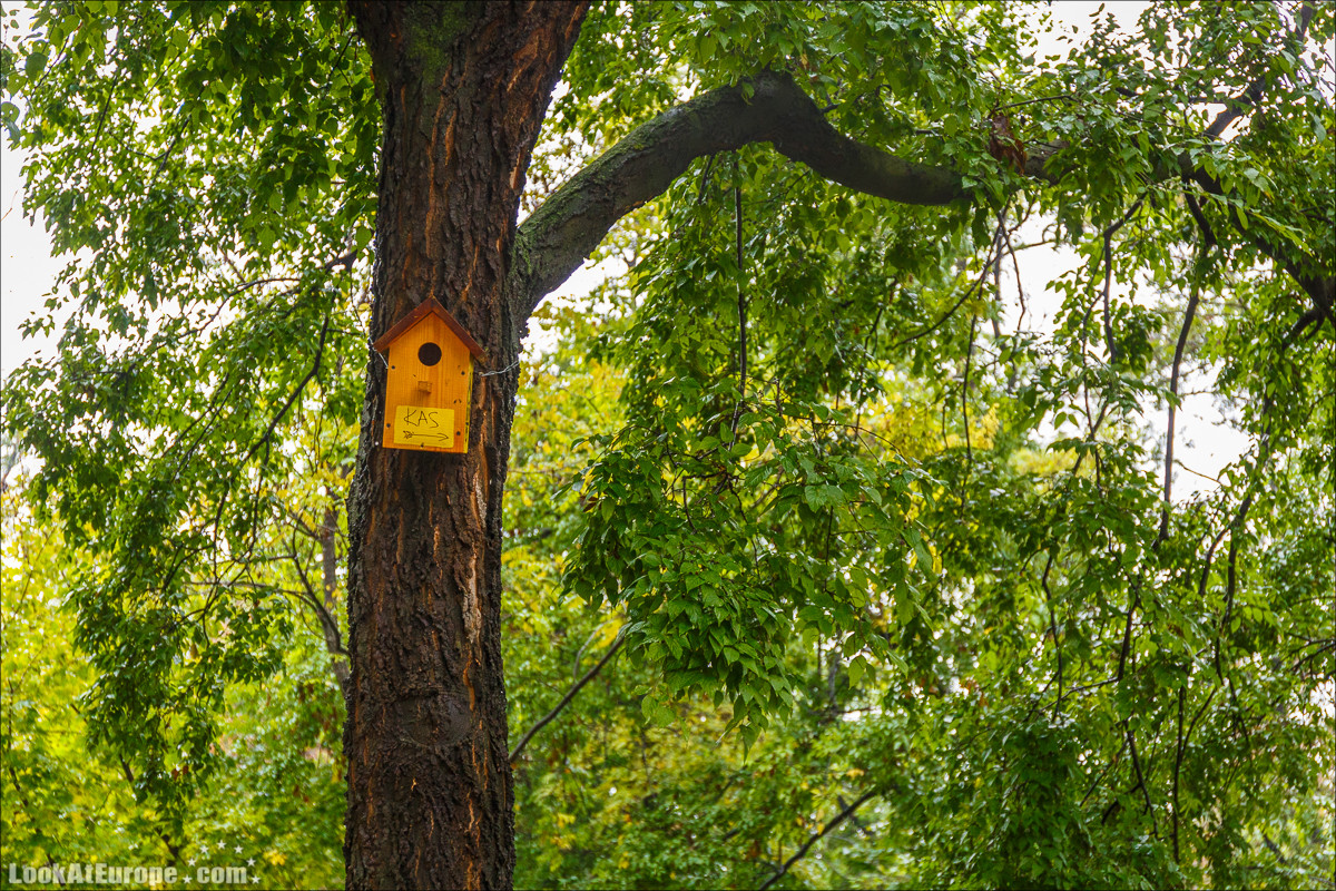 Осень в Одессе | LookAtIsrael.com - Фото путешествия по Израилю