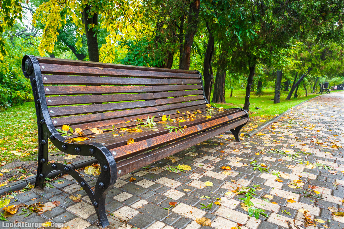 Осень в Одессе | LookAtIsrael.com - Фото путешествия по Израилю