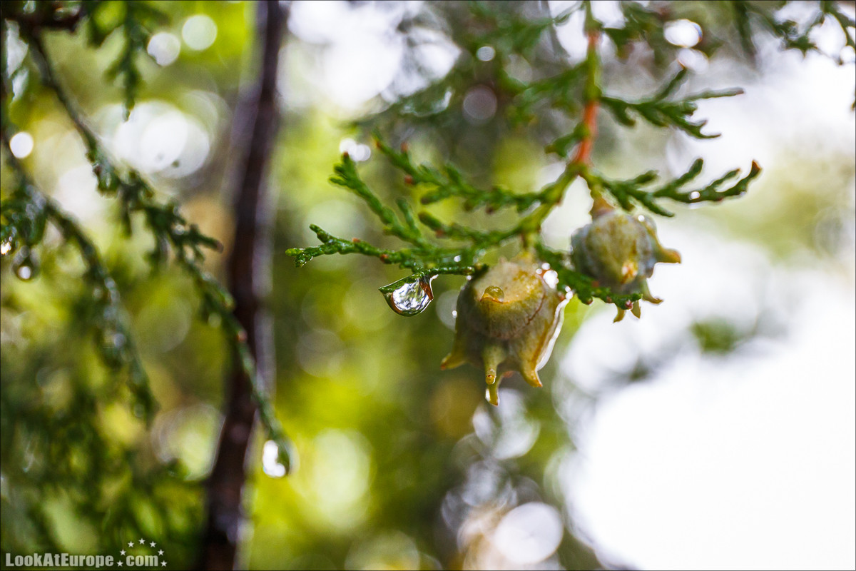 Осень в Одессе | LookAtIsrael.com - Фото путешествия по Израилю