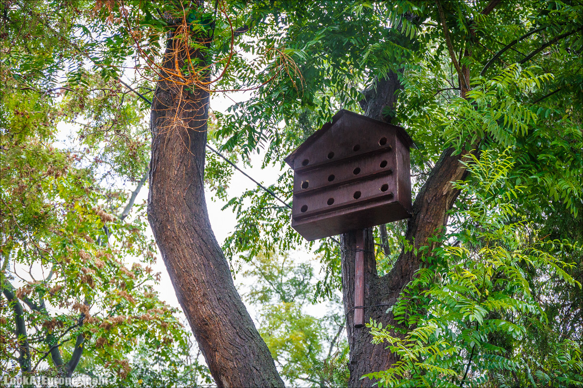 Осень в Одессе | LookAtIsrael.com - Фото путешествия по Израилю