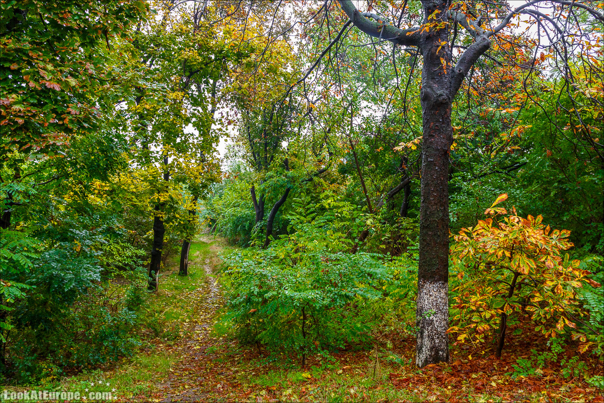 Осень в Одессе | LookAtIsrael.com - Фото путешествия по Израилю