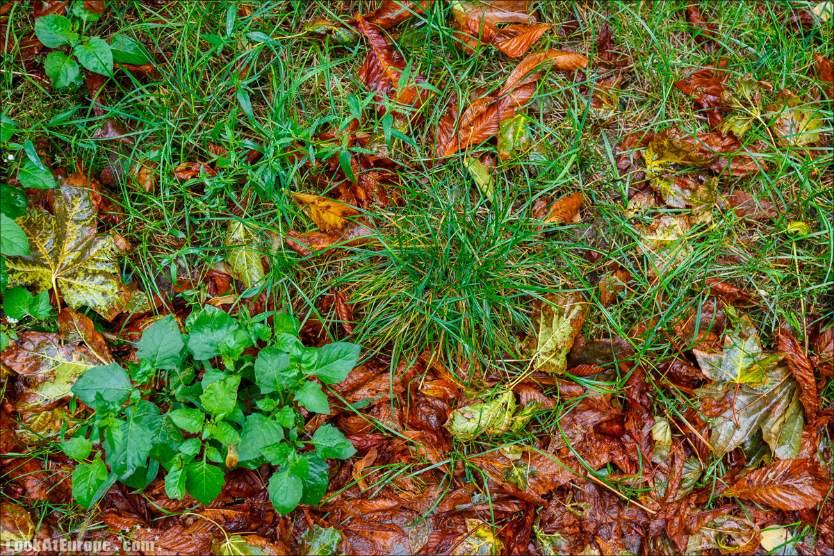 Осень в Одессе | LookAtIsrael.com - Фото путешествия по Израилю
