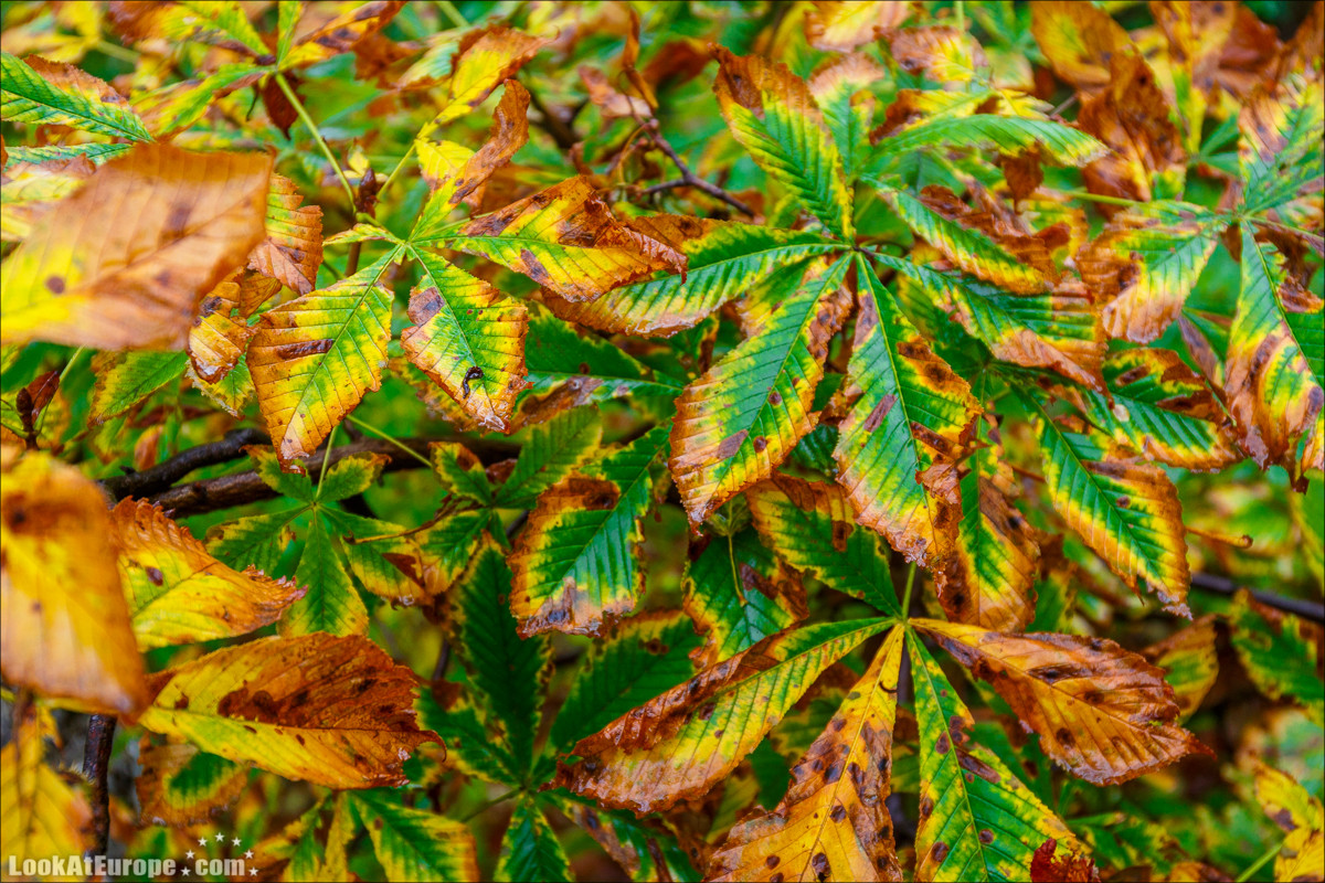 Осень в Одессе | LookAtIsrael.com - Фото путешествия по Израилю