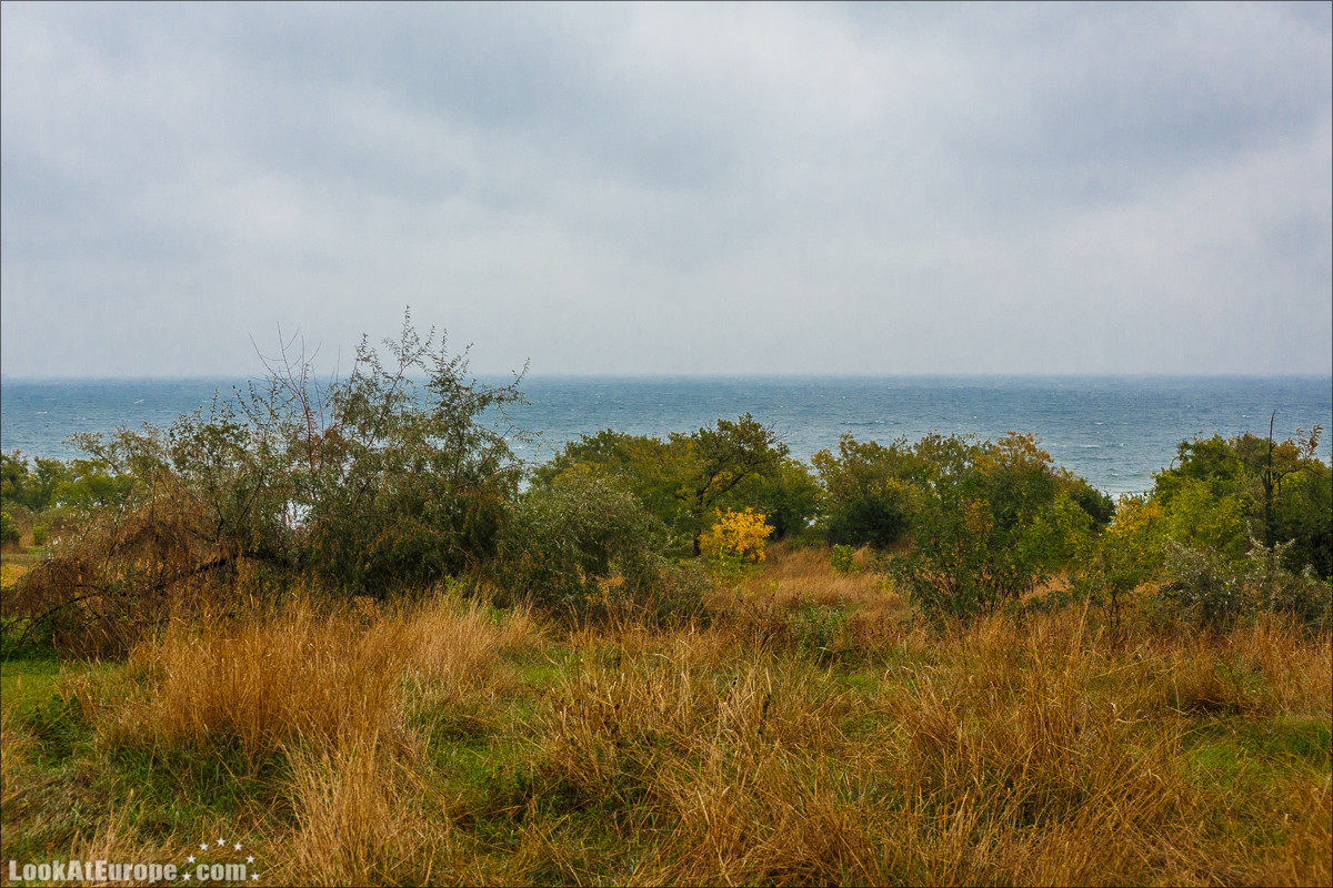 Осень в Одессе | LookAtIsrael.com - Фото путешествия по Израилю