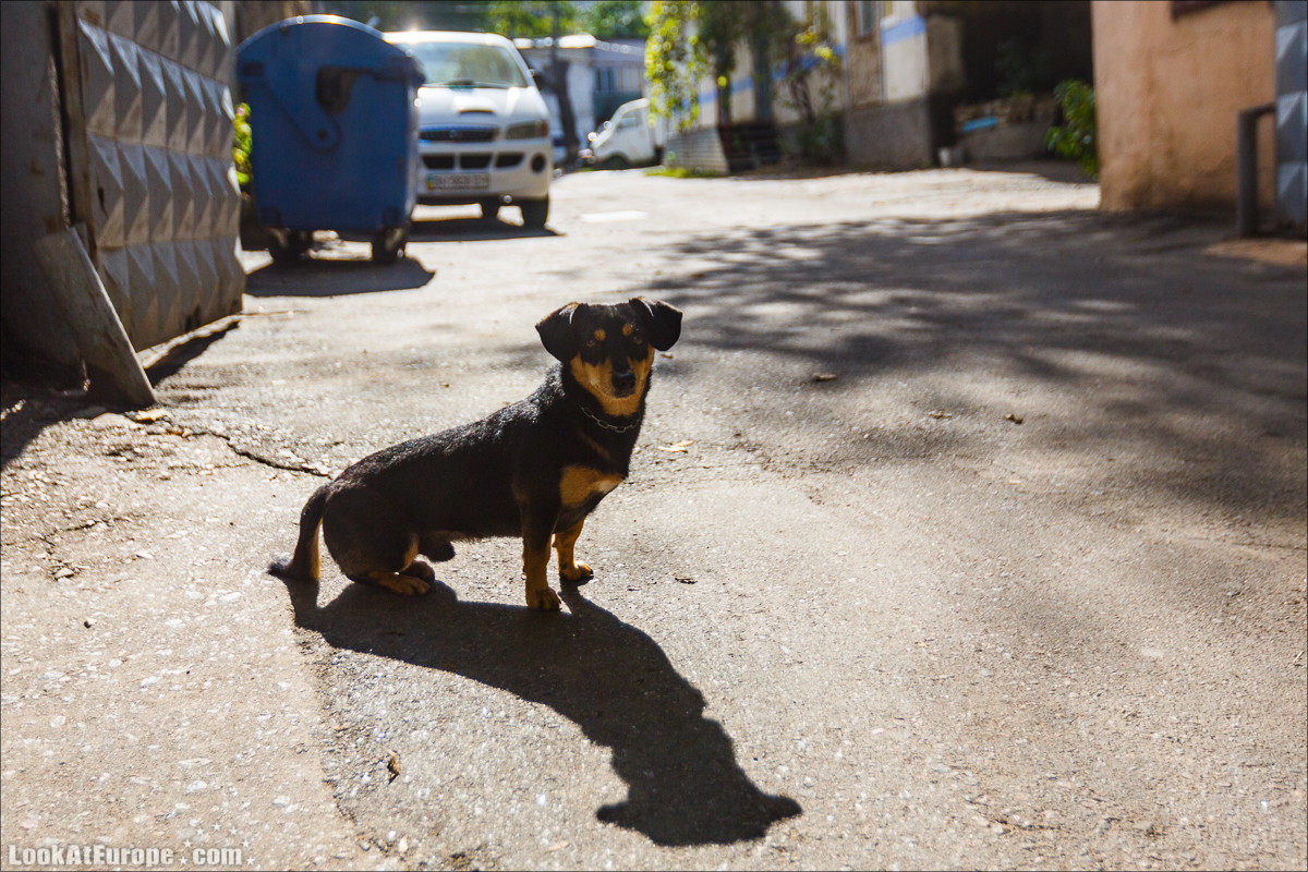 Из двориков Молдаванки к центру Одессы | LookAtIsrael.com - Фото путешествия по Израилю