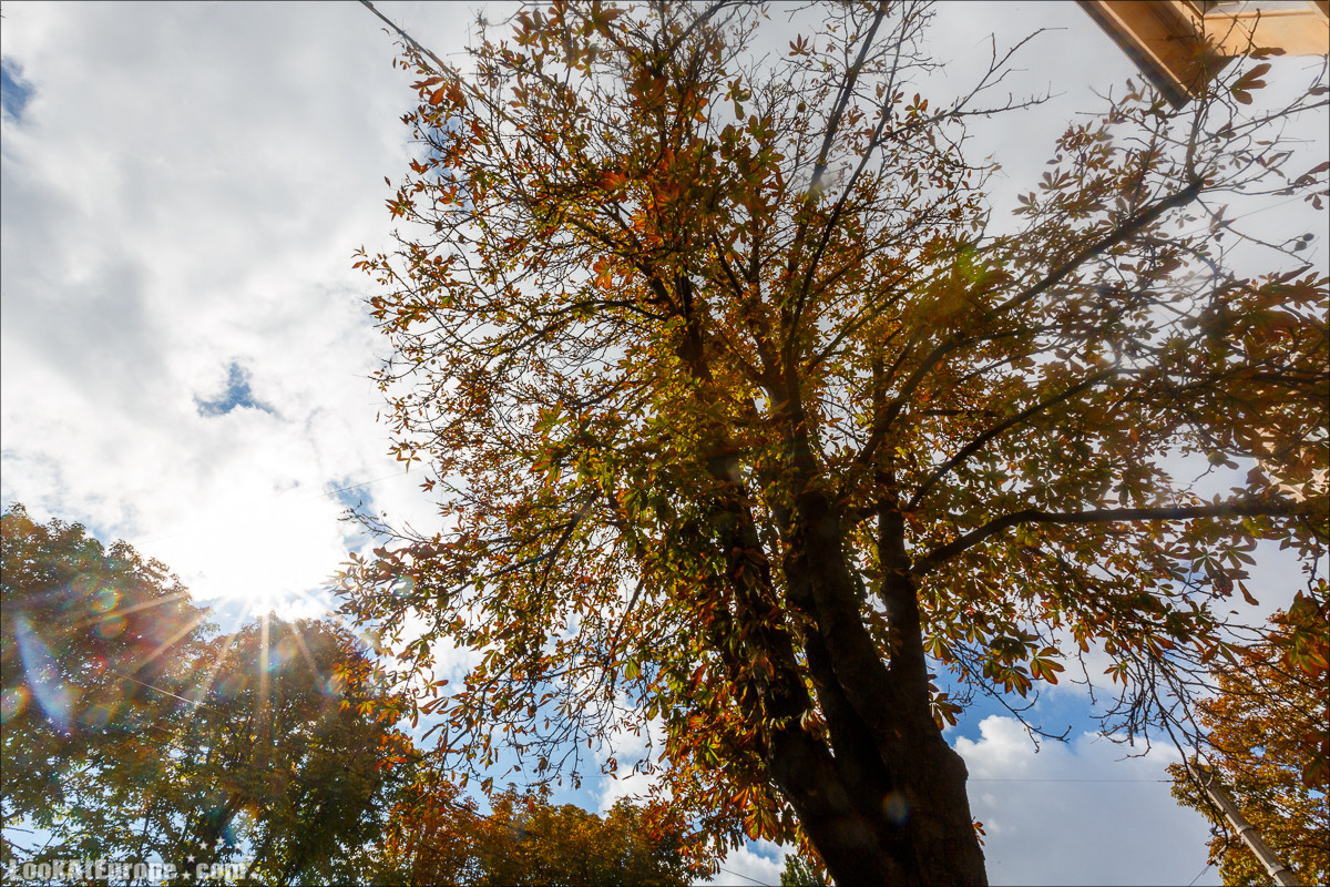Из двориков Молдаванки к центру Одессы | LookAtIsrael.com - Фото путешествия по Израилю