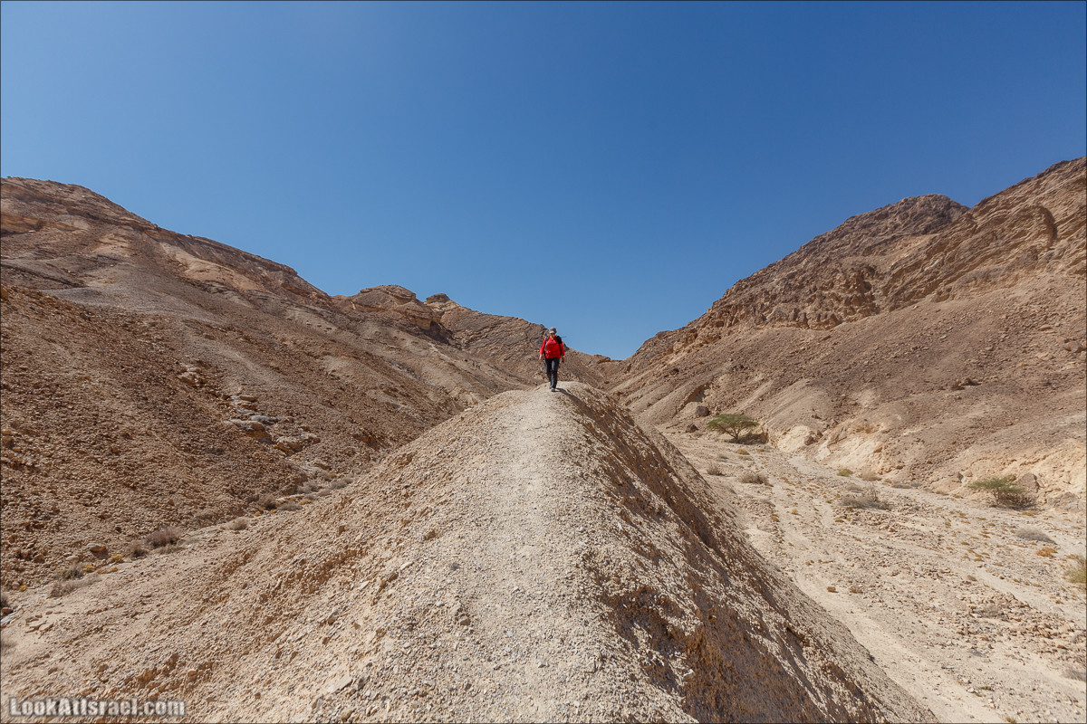 Полусухая река и ручей министра верблюдов